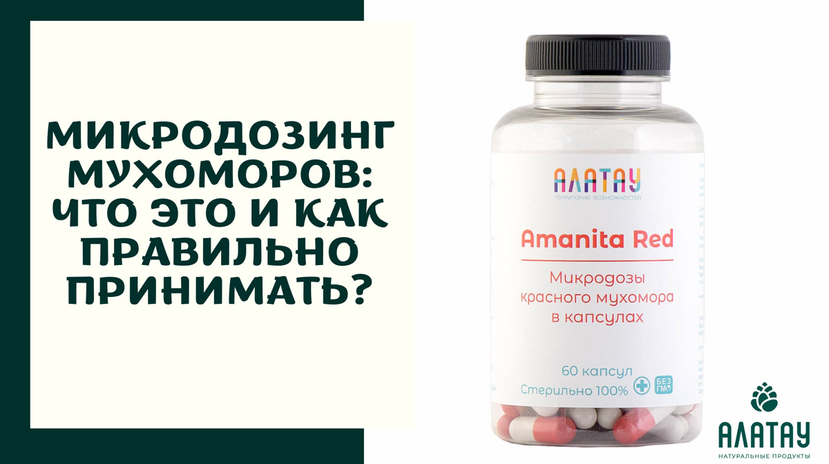 Микродозинг мухоморов в России: ядовитый гриб набирает популярность Микродозинг мухоморов в России: ядовитый гриб набирает популярность